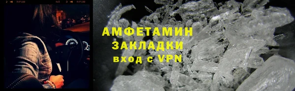 прущие грибы Заводоуковск