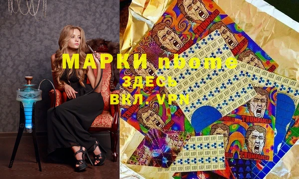 прущие грибы Заводоуковск