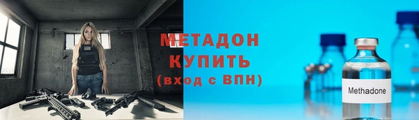 прущие грибы Заводоуковск