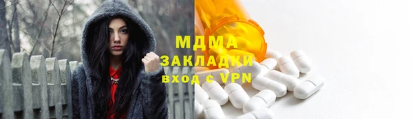 прущие грибы Заводоуковск