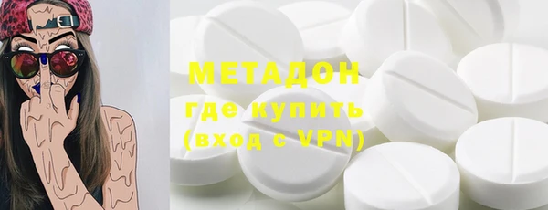 прущие грибы Заводоуковск
