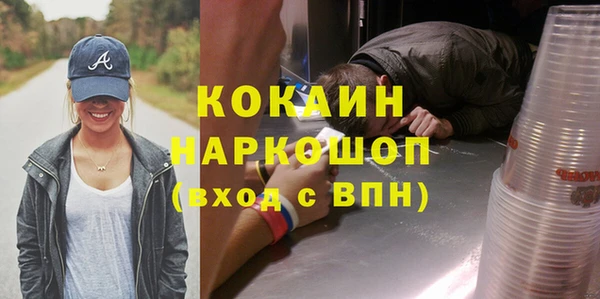 прущие грибы Заводоуковск