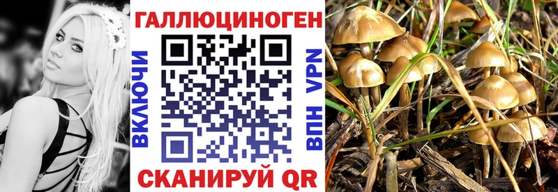 mega зеркало  Камышин  Галлюциногенные грибы GOLDEN TEACHER 