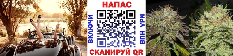 дарнет шоп  MEGA ссылка  Марихуана сатива  Камышин 